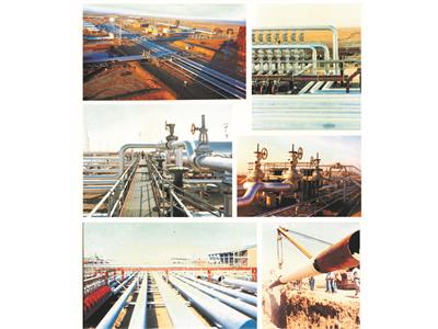 Construction of Maroun Production Unit