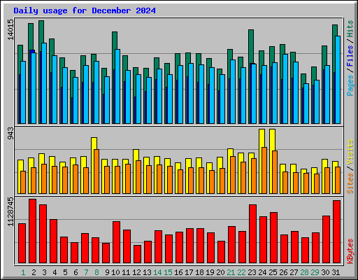 Daily usage for December 2024