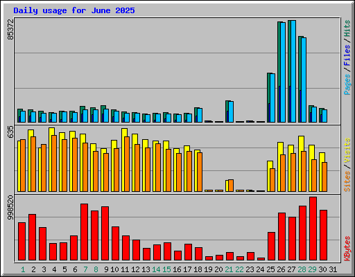 Daily usage for June 2025