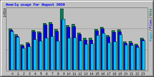 Hourly usage for August 2020