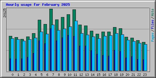 Hourly usage for February 2025