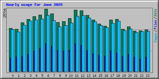 Hourly usage for June 2025
