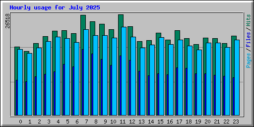 Hourly usage for July 2025