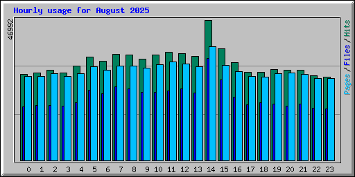 Hourly usage for August 2025