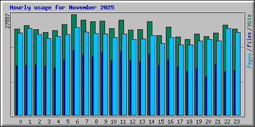 Hourly usage for November 2025