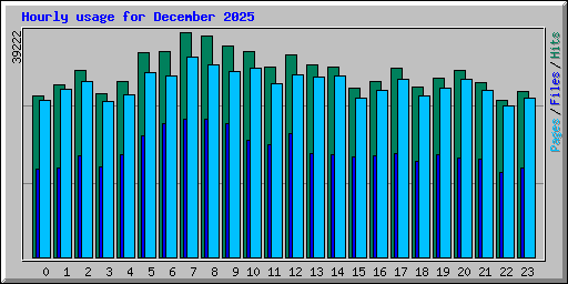 Hourly usage for December 2025