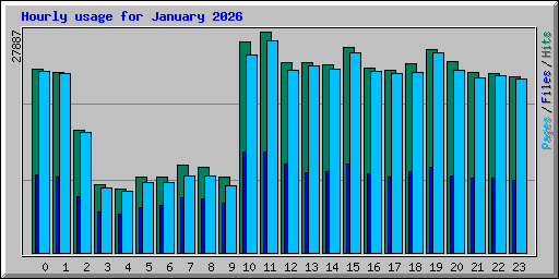 Hourly usage for January 2026