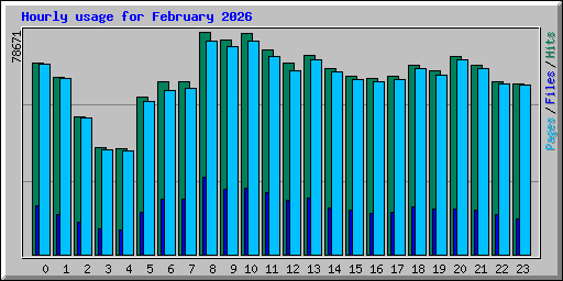 Hourly usage for February 2026