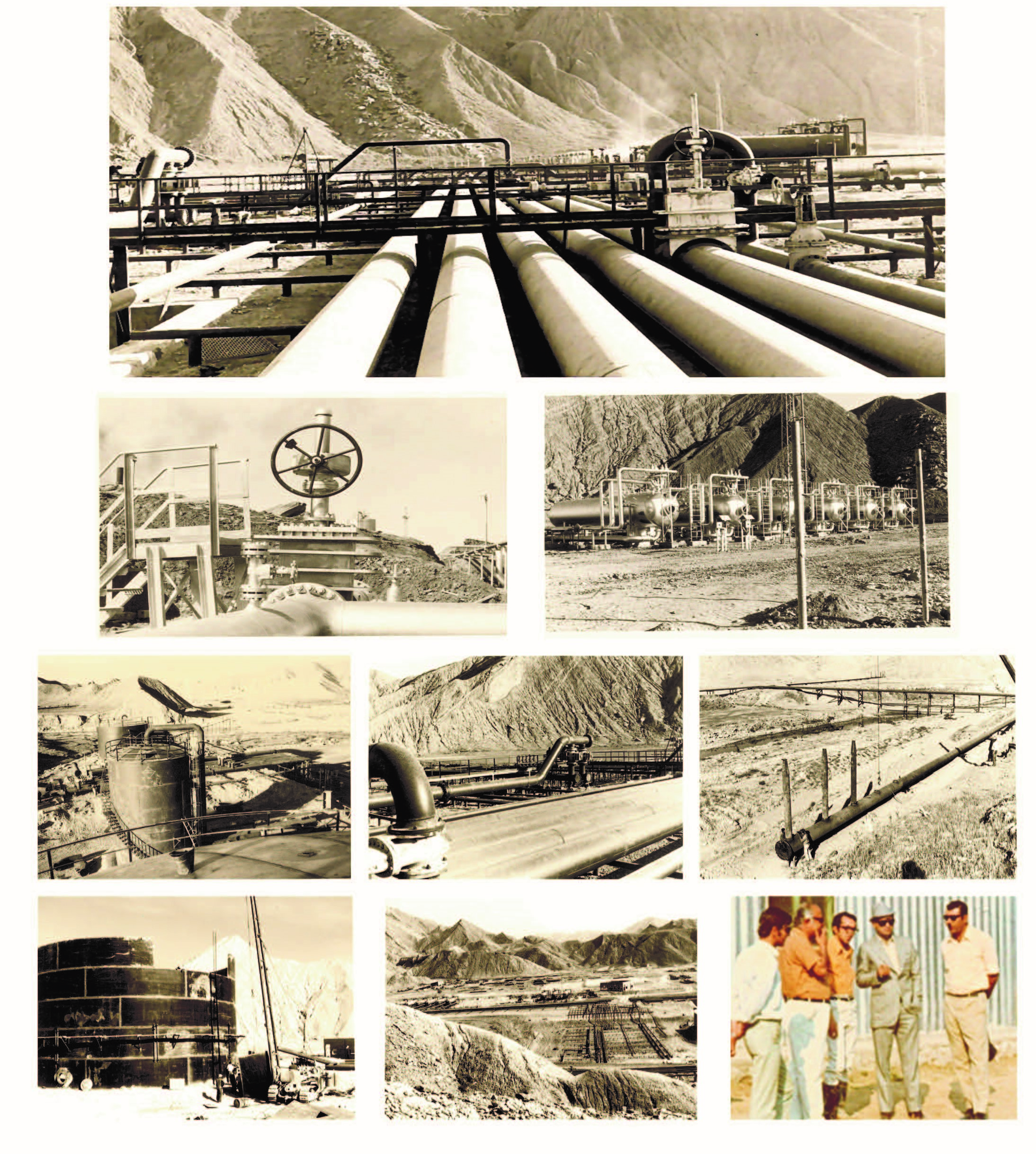 karanj oil Production